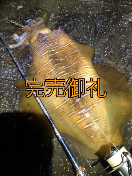 画像16: WILDCHASE 3.5号シャローtune /俺のGOLDパイソン/[特注:EGI MANIACS] (16)