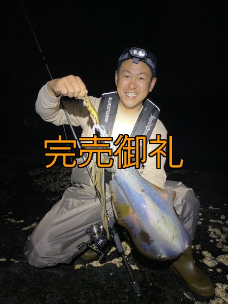 画像11: WILDCHASE 3.5号シャローtune /俺のGOLDパイソン/[特注:EGI MANIACS] (11)