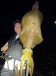 画像8: WILDCHASE 3.5号 /俺のGOLDパイソン/[特注:EGI MANIACS] (8)