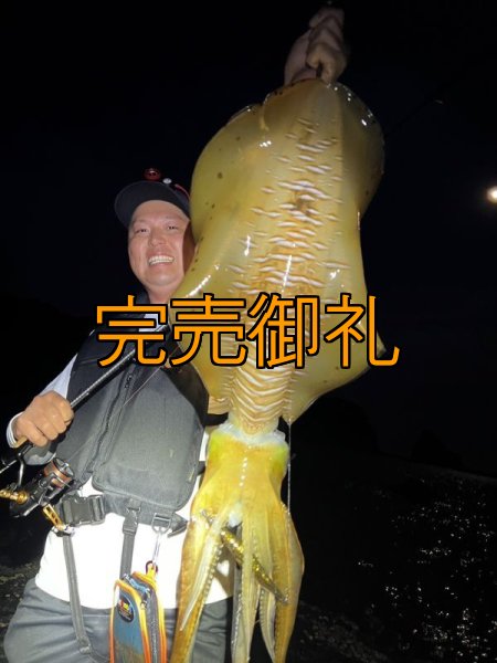 画像3: WILDCHASE 3.5号シャローtune /俺のGOLDパイソン/[特注:EGI MANIACS] (3)