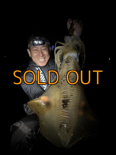 画像13: WILDCHASE 3.5号 /俺のGOLDパイソン/[特注:EGI MANIACS] (13)