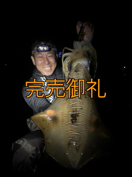 画像10: WILDCHASE 3.5号シャローtune /俺のGOLDパイソン/[特注:EGI MANIACS] (10)