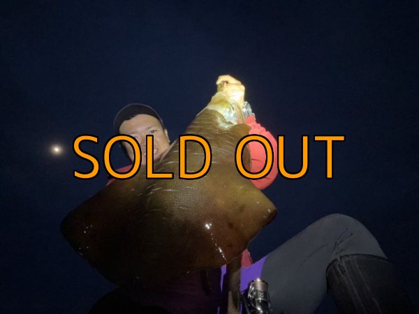 画像17: WILDCHASE 3.5号 /俺のGOLDパイソン/[特注:EGI MANIACS] (17)