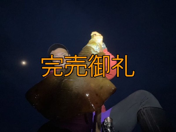 画像14: WILDCHASE 3.5号シャローtune /俺のGOLDパイソン/[特注:EGI MANIACS] (14)