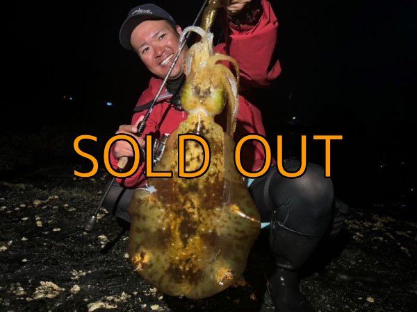 画像16: WILDCHASE 3.5号 /俺のGOLDパイソン/[特注:EGI MANIACS] (16)