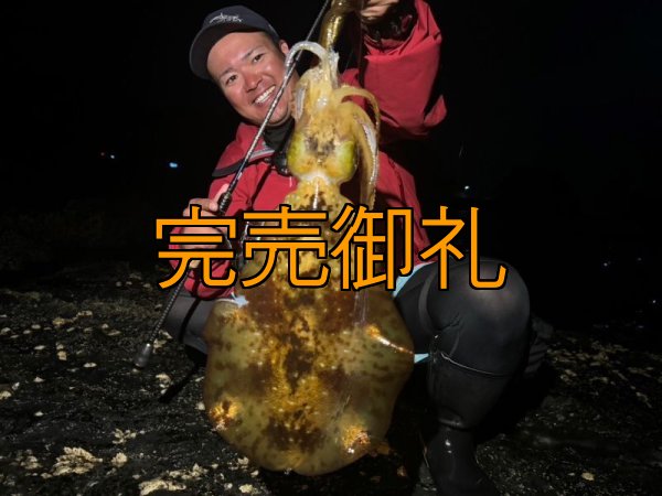 画像13: WILDCHASE 3.5号シャローtune /俺のGOLDパイソン/[特注:EGI MANIACS] (13)