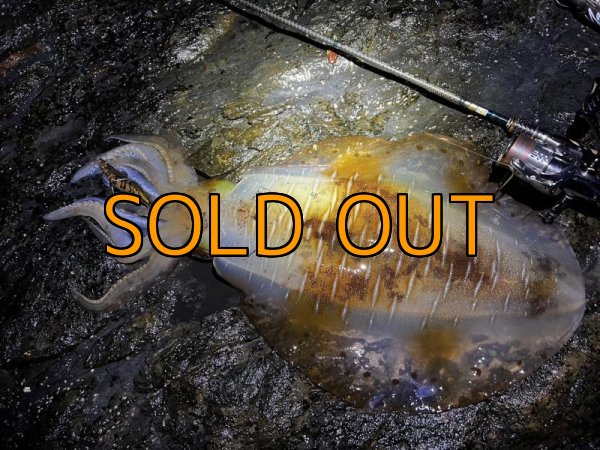 画像22: WILDCHASE 3.5号 /俺のGOLDパイソン/[特注:EGI MANIACS] (22)