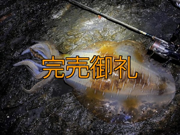 画像19: WILDCHASE 3.5号シャローtune /俺のGOLDパイソン/[特注:EGI MANIACS] (19)