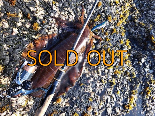 画像10: WILDCHASE 3.5号/ブルーパイソン/スポットGLOW[特注:EGI MANIACS] (10)