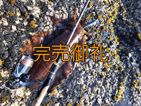 画像18: WILDCHASE 3.0号RTラトル/ブルーパイソン/スポットGLOW[特注:EGI MANIACS] (18)