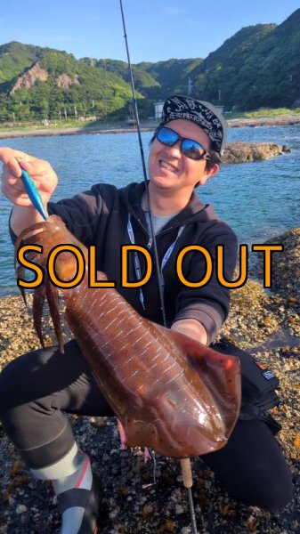 画像3: WILDCHASE 3.5号/ブルーパイソン/スポットGLOW[特注:EGI MANIACS] (3)