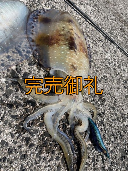 画像15: WILDCHASE 3.0号RTラトル/ブルーパイソン/スポットGLOW[特注:EGI MANIACS] (15)