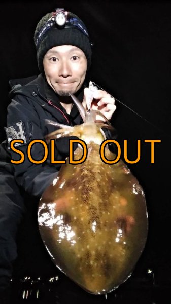 画像11: WILDCHASE 3.5号 /セナキスパイソン/UV[特注:EGI MANIACS] (11)