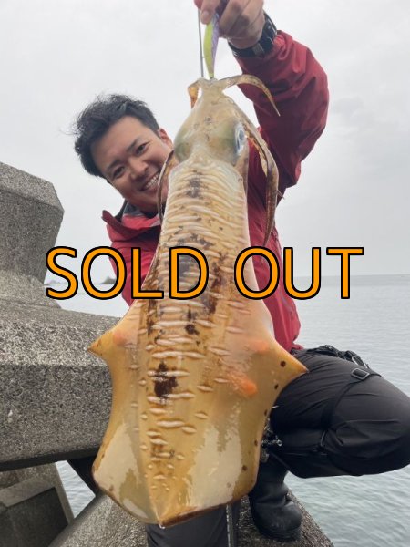 画像3: WILDCHASE 3.5号 /セナキスパイソン/UV[特注:EGI MANIACS] (3)