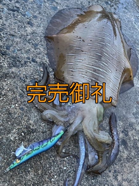 画像20: WILDCHASE 3.0号RTラトル/ブルーパイソン/スポットGLOW[特注:EGI MANIACS] (20)