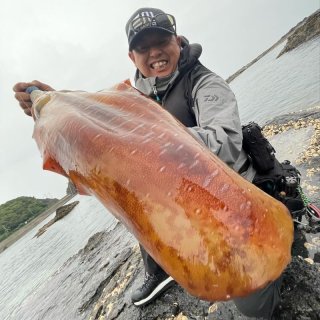 WILD CHASE 特注 3.5号 - 大阪エギングショップ EGI MANIACS