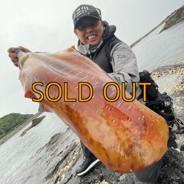 画像1: WILDCHASE 3.5号/ブルーパイソン/スポットGLOW[特注:EGI MANIACS] (1)