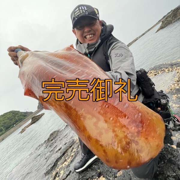 画像10: WILDCHASE 3.0号RTラトル/ブルーパイソン/スポットGLOW[特注:EGI MANIACS] (10)