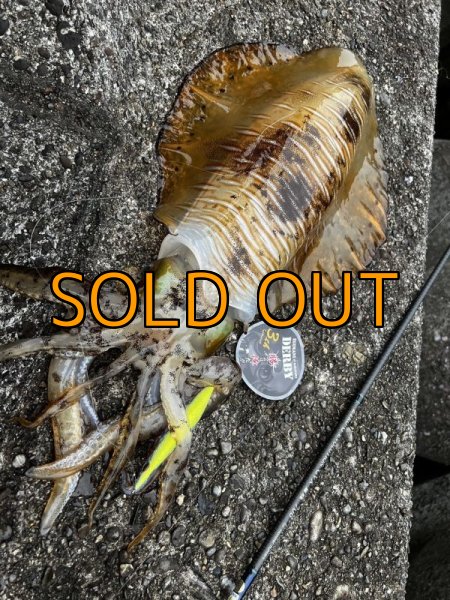 画像7: WILDCHASE 3.5号 /セナキスパイソン/UV[特注:EGI MANIACS] (7)