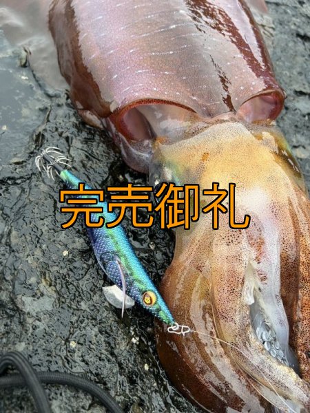 画像16: WILDCHASE 3.0号RTラトル/ブルーパイソン/スポットGLOW[特注:EGI MANIACS] (16)