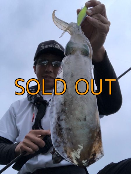 画像10: WILDCHASE 3.5号 /セナキスパイソン/UV[特注:EGI MANIACS] (10)