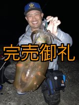 WILDCHASE 3.5号シャローtune /飛鳥シリーズセット[ジャパツバ