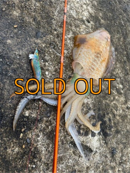 画像8: WILDCHASE 3.5号 /セナキスパイソン/UV[特注:EGI MANIACS] (8)