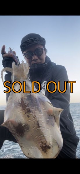 画像4: WILDCHASE 3.5号/ブルーパイソン/スポットGLOW[特注:EGI MANIACS] (4)