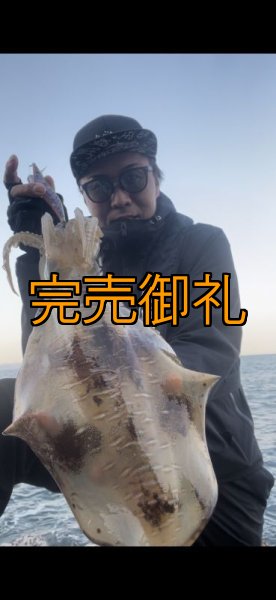 画像12: WILDCHASE 3.0号RTラトル/ブルーパイソン/スポットGLOW[特注:EGI MANIACS] (12)