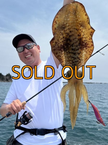 画像21: 受注生産 DRYシルキータッチＥＭ  【波・風イメージ新ロゴ】 (21)