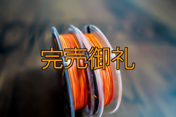 画像3: X8-PE 0.5-210m 『Coral Gradation』【オレンジグラデーション5ｍ間隔】 (3)