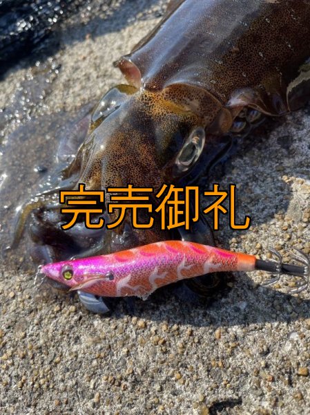 画像7: WILD CHASE 3.0号 モンスターオレンジ[特注:EGI MANIACS] (7)