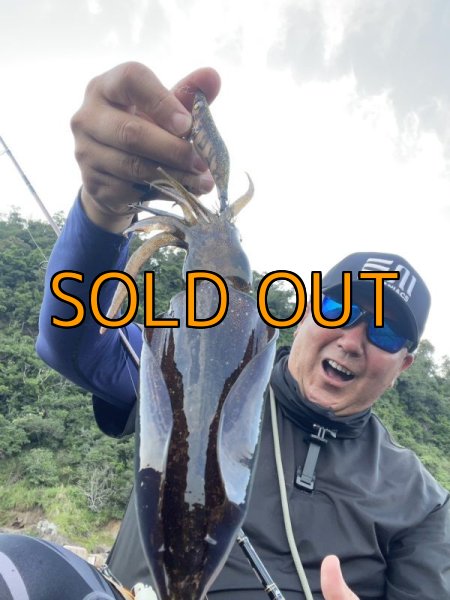 画像5: WILDCHASE 3.5号 /俺のGOLDパイソン/[特注:EGI MANIACS] (5)