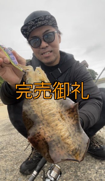 画像9: WILDCHASE 3.0号RTラトル /セナキスパイソン/UV[特注:EGI MANIACS] (9)