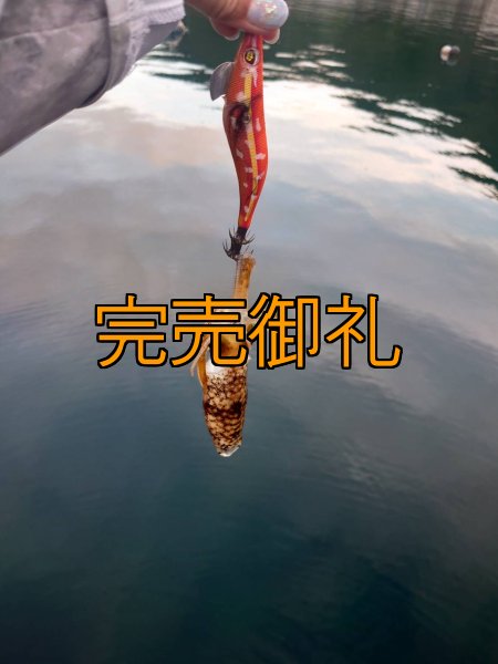 画像10: WILDCHASE 3.0号RTラトル / 斑赤龍/RED GLOW搭載[特注:EGI MANIACS] (10)