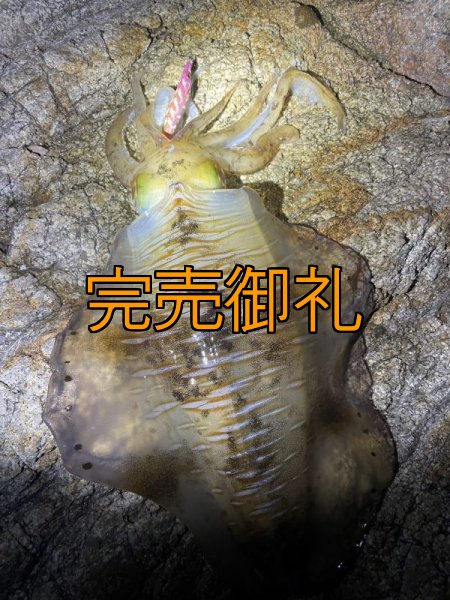 画像5: WILD CHASE 3.0号 モンスターオレンジ[特注:EGI MANIACS] (5)