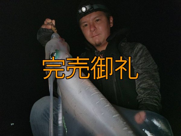 画像5: WILDCHASE 3.0号 /俺のGOLDパイソン/[特注:EGI MANIACS] (5)