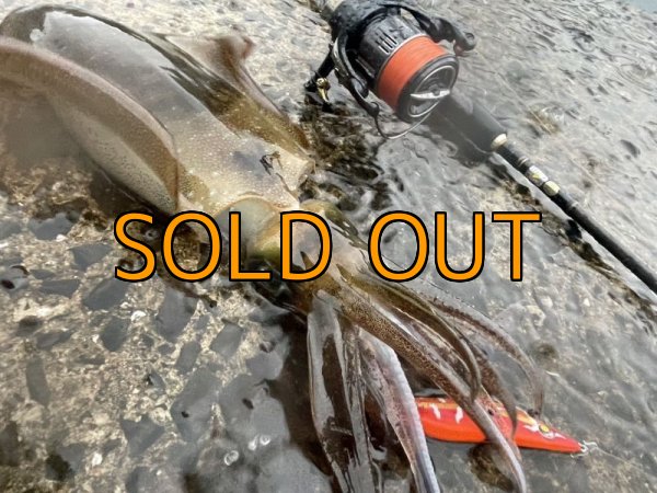 画像7: WILDCHASE 3.5号 / 斑赤龍/RED GLOW搭載[特注:EGI MANIACS] (7)