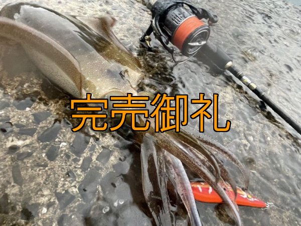 画像9: WILDCHASE 3.0号RTラトル / 斑赤龍/RED GLOW搭載[特注:EGI MANIACS] (9)