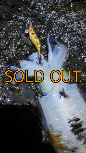 画像24: WILDCHASE 3.5号 /俺のGOLDパイソン/[特注:EGI MANIACS] (24)