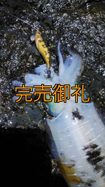 画像24: WILDCHASE 3.0号 /俺のGOLDパイソン/[特注:EGI MANIACS] (24)