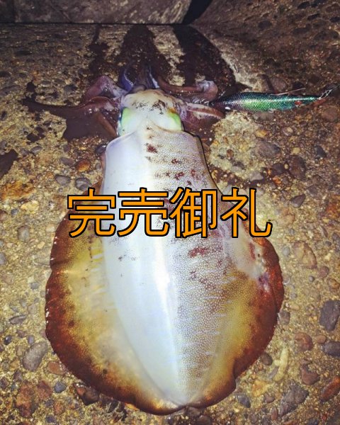 画像9: WILD CHASE 3.0号RTラトル モンスターブラック[特注:EGI MANIACS] (9)