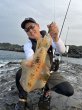 画像3: WILDCHASE 3.5号 /俺のGOLDパイソン/[特注:EGI MANIACS] (3)