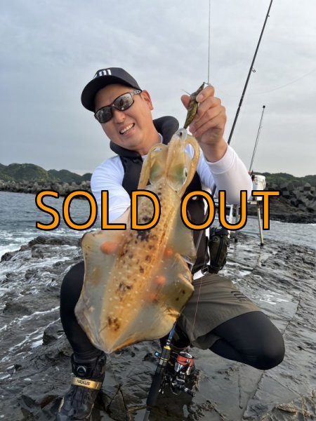 画像3: WILDCHASE 3.5号 /俺のGOLDパイソン/[特注:EGI MANIACS] (3)