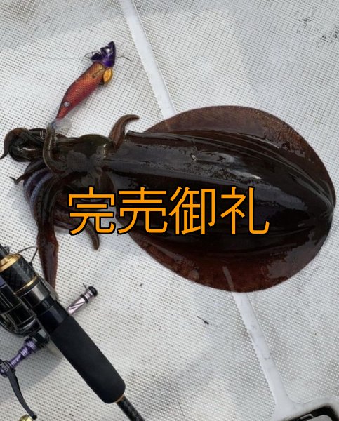 画像5: 『魅黒/GOLD』X-FOR TZ 605S 神龍 B-TR tune (5)