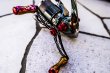 画像2: MAD CROW98 『Monster Red』 Air（オーロラ） (2)