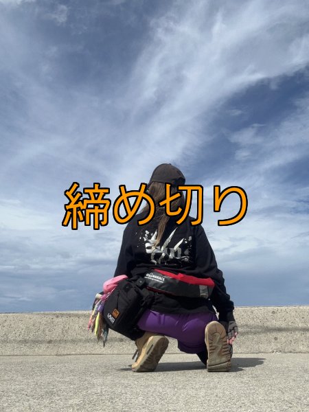 画像13: 受注生産  EGI MANIACS 『スプラッシュ』綿・シルキードライロンT (13)