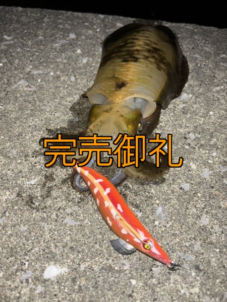 画像6: WILDCHASE 3.0号RTラトル / 斑赤龍/RED GLOW搭載[特注:EGI MANIACS] (6)