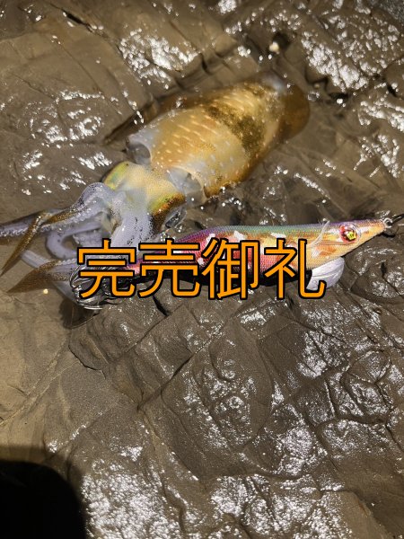 画像8: WILDCHASE 3.0号RTラトル/ 斑紫龍[特注:EGI MANIACS] (8)