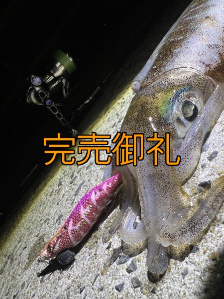 画像6: WILD CHASE 3.0号RTラトル モンスターピンク[特注:EGI MANIACS] (6)